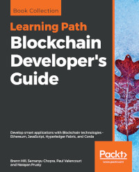 Blockchain Developer's Guide