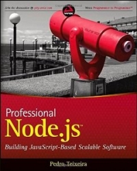 Professional Node.js