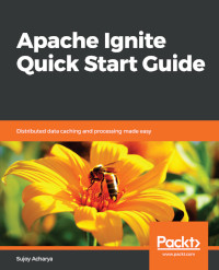 Apache Ignite Quick Start Guide