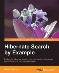 Hibernate Search by Example