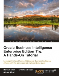 Oracle Business Intelligence Enterprise Edition 11g