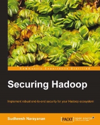 Securing Hadoop