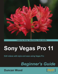 Sony Vegas Pro 11