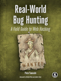 Real-World Bug Hunting