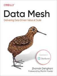 Data Mesh