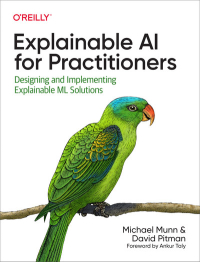 Explainable AI for Practitioners