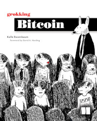 Grokking Bitcoin