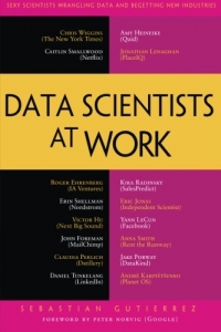 Data Scientists at Work