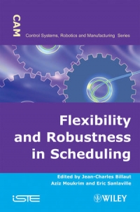 Flexibility and Robustness in Scheduling